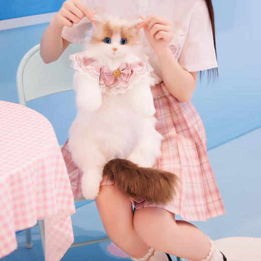 Chongker/宠客 布偶猫背包 标准款 商品图2