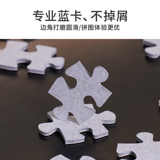 TOi图益-潮玩拼图系列-钱来钱来-1000片-分包款 商品图6