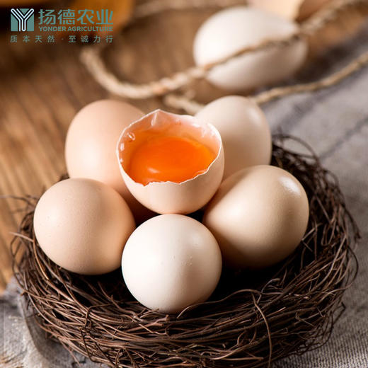 【超级爆款-排队至4月16后日发货】扬德林下土鸡蛋（40枚/箱） 商品图1