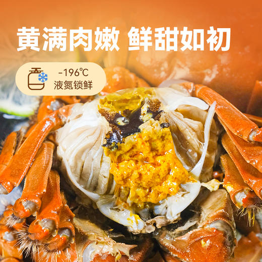 【直送到家】礼品卡包邮到家 新孟河虾蟹礼盒  新意礼卡（实物约1.5两醉蟹4只装2盒+400g罗氏虾2盒） 商品图2