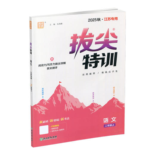 2025秋 小学拔尖特训 语文二年级上册人教版 部编版小学教辅2上 提优训练专项练习一课一练同步教辅 必刷题 通成学典天天练教辅 商品图3