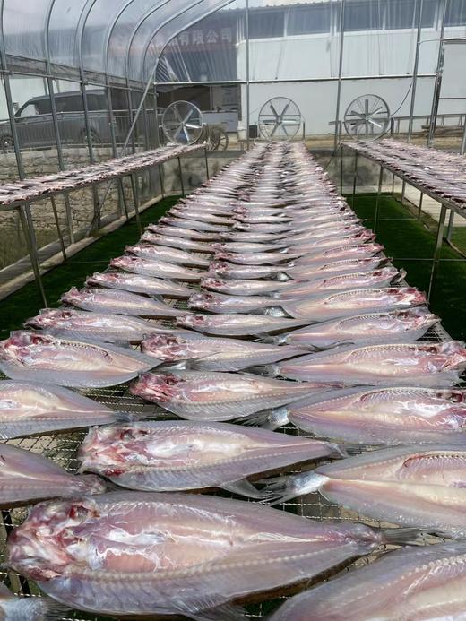 【武汉.黄陂】江城百臻木兰渔翁大白刁6斤正负0.2斤（4-6条） 商品图2