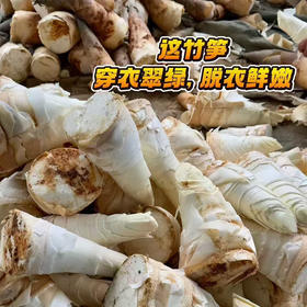 高汤笋丝*780g*4盒（顺丰冷链包邮，送礼品袋）