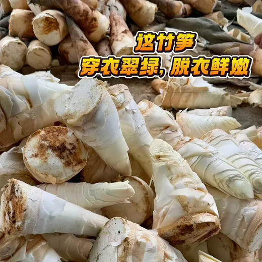 高汤笋丝*780g*4盒（顺丰冷链包邮，送礼品袋） 商品图0