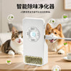 【即插即用，全天候净化！】空气净化器 除甲醛家用臭氧机 厨房卫生间厕所除味除臭器 消毒机杀菌-QA 商品缩略图0