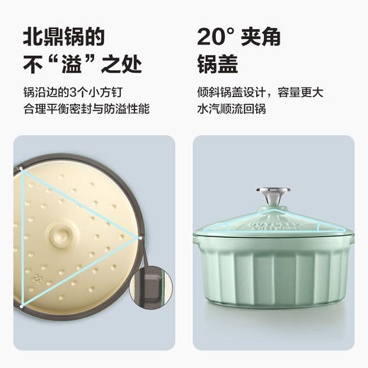 【专柜-北鼎】 北鼎-珐琅铸铁锅焖炖锅平底锅炉具通用 22cm 商品图8