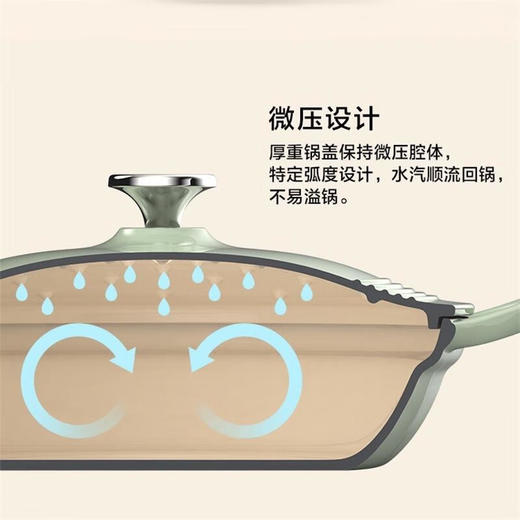 【专柜-北鼎】北鼎珐琅锅铸铁锅焖焗锅海鲜锅28cm家用多功能锅焖炖炒锅砂锅 商品图11