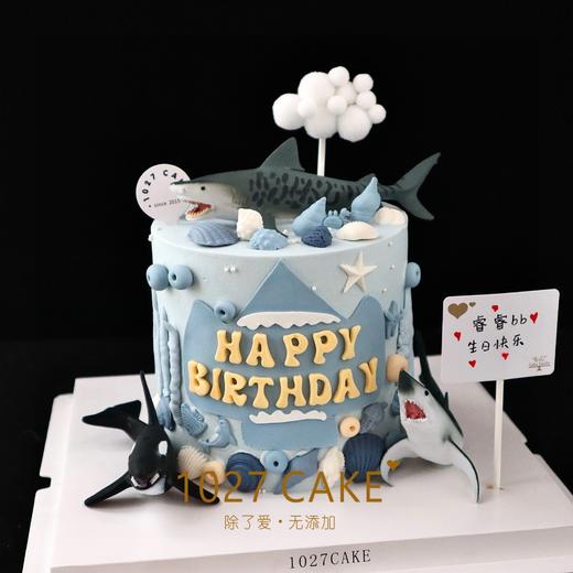 1027CAKE | 鲨鱼蛋糕 海洋世界 海底世界 商品图2