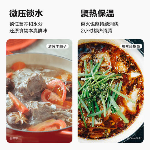 【专柜-北鼎】 北鼎-珐琅铸铁锅焖炖锅平底锅炉具通用 22cm 商品图6