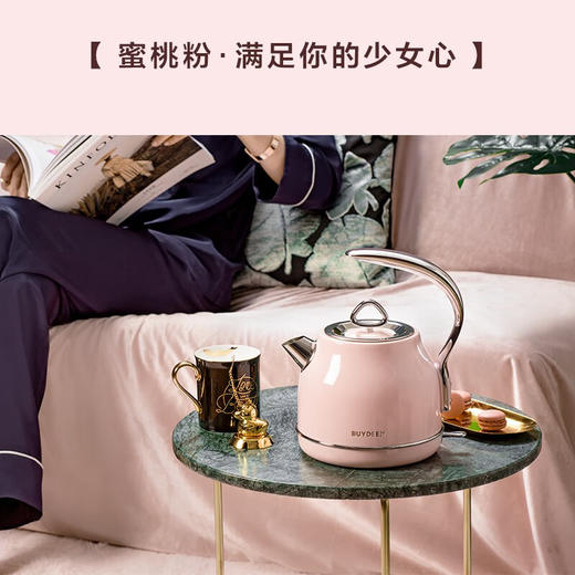 【专柜-北鼎】北鼎摩登电热水壶烧水壶304不锈钢自动断电水壶家用送礼0塑胶K203 1.2L 商品图5