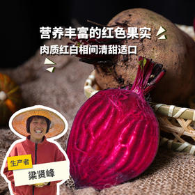生态甜菜根（河南） | 合作生产*Eco-beetroots | Coproduction