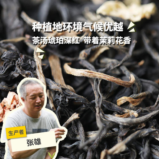 生态茶·大树茉莉滇红（25年新茶） | 公平贸易*Eco-jasmine & Yunnan black tea of old tree | Fair trade 商品图0