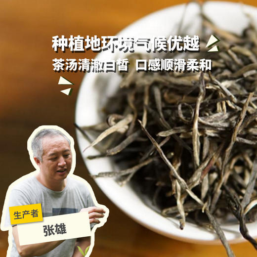 生态茶·早春白毫  | 公平贸易*Eco-White tea picked before Qingming | Fair trade 商品图0