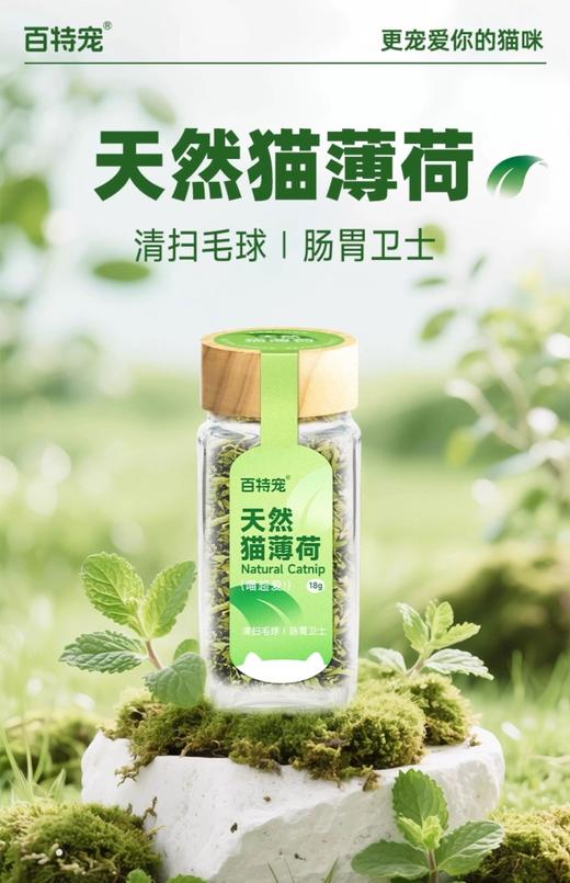 百特宠A级天然猫薄荷 商品图0
