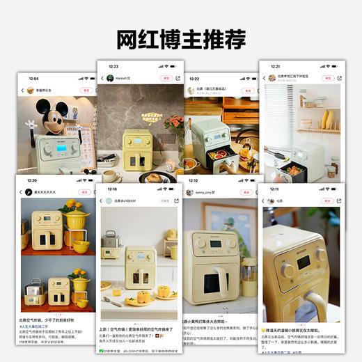 【专柜-北鼎】北鼎F51/001空气炸锅 4L大容量家用多功能无油炸锅空炸浅衫绿 商品图5