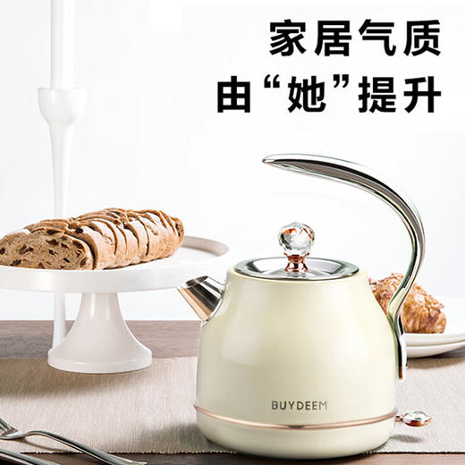 【专柜-北鼎】北鼎家用电热水壶304不锈钢烧水壶极简高颜值小型电水壶 1.2LK208 奢华礼品款 商品图1