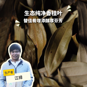 生态香桂叶 | 合作生产 * Eco-Cinnamomum cassia leaves  | Coproduction