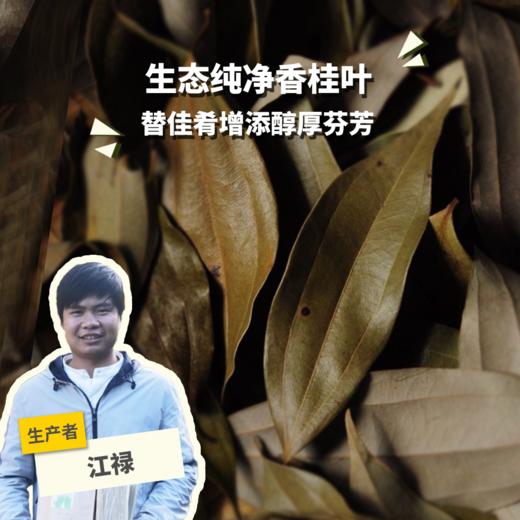 生态香桂叶 | 合作生产 * Eco-Cinnamomum cassia leaves  | Coproduction 商品图0