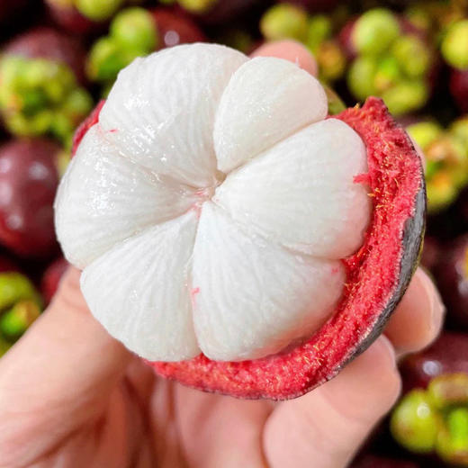 6A山竹500g/份（肉质细腻嫩滑） 商品图1