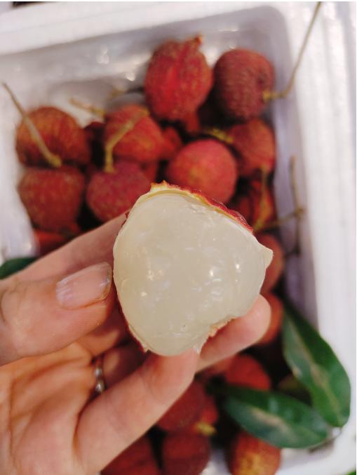 仙进奉荔枝一斤 商品图2