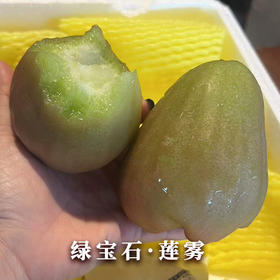 绿宝石莲雾 | 精选水果