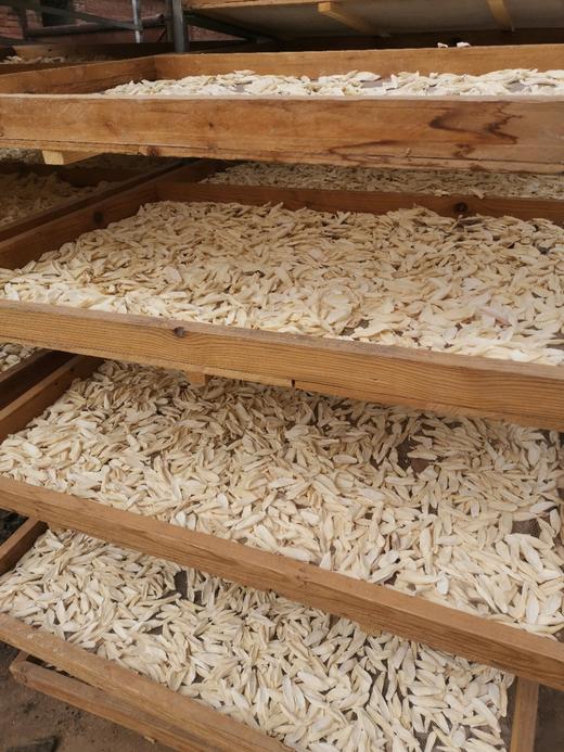 铁棍山药片（怀山） 商品图10