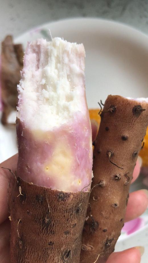 温县地铁棍山药 商品图8