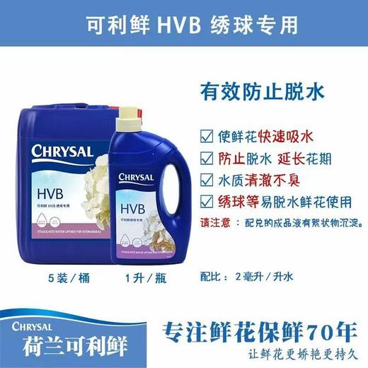 可利鲜鲜花保鲜剂--植物亮叶剂 商品图5