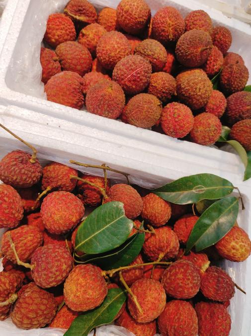 仙进奉荔枝一斤 商品图0