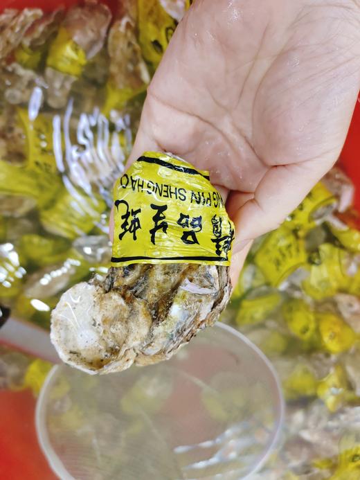 鹅蛋生蚝4斤 商品图1