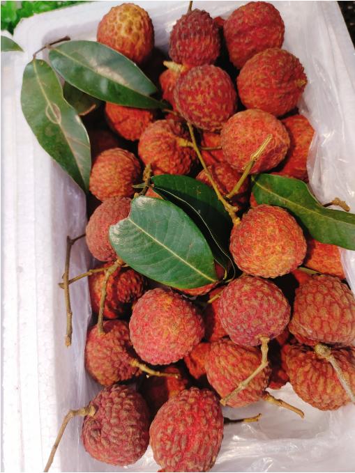 仙进奉荔枝一斤 商品图1