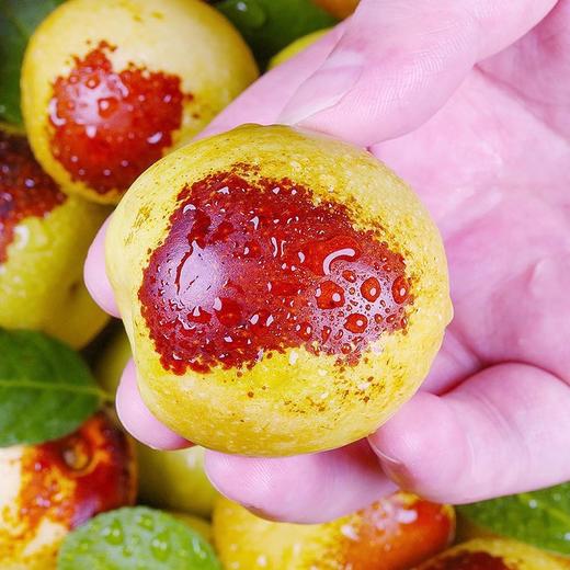 【脆甜多汁】大荔冬枣 500g/份 商品图1