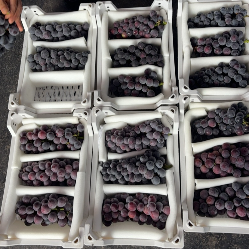 预定团29.8/件浙江巨峰葡萄3-4串装净重约4斤左右（7.31提货）