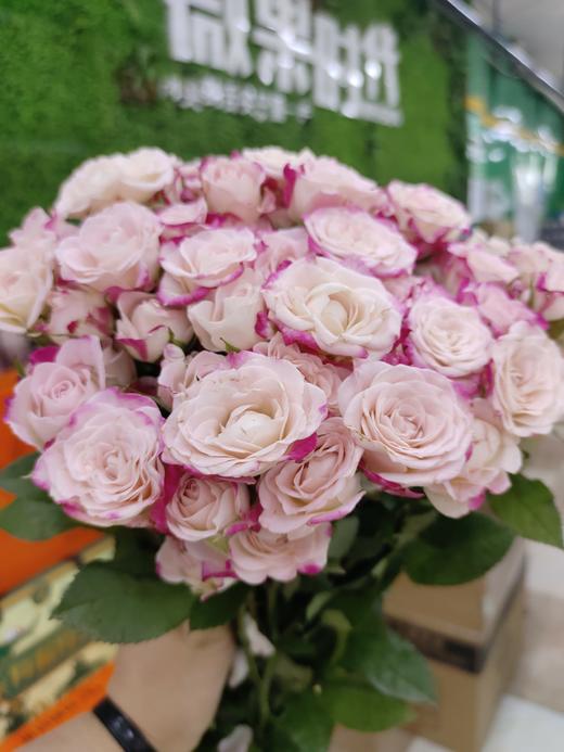 折射多头玫瑰5支 商品图1