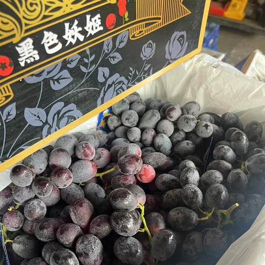 黑色妖姬黑提子 | 精选水果 商品图0
