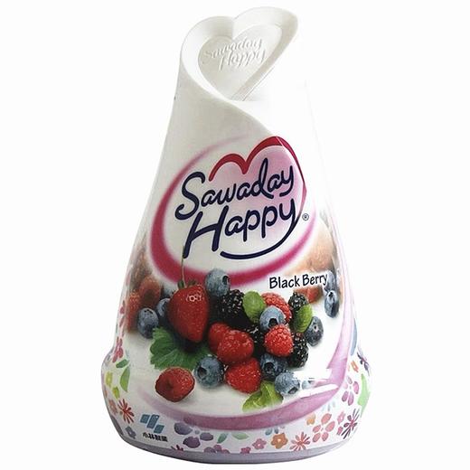 [日本产]小林固体消臭元黑莓果香120g고바야시 고체방향 베리과일향 商品图0