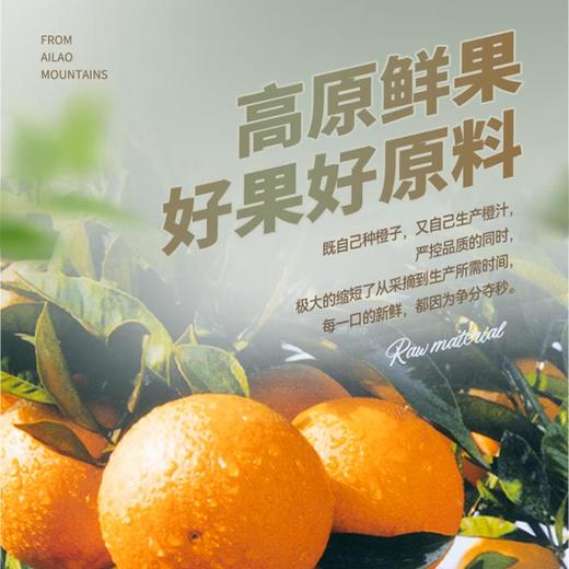 实建褚橙NFC橙汁900ml 商品图5