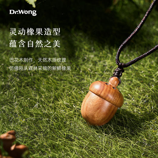 「橡小果」精油项链 商品图1