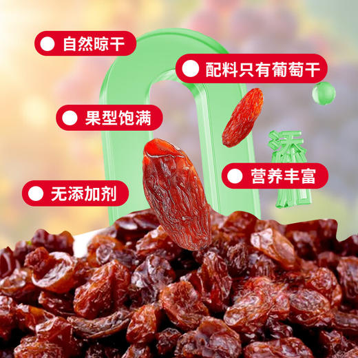 美国阳光少女无籽葡萄干400g/059987 果型饱满自然晾干 商品图2