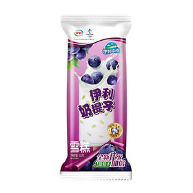 伊利牧场奶提子雪糕65g/支