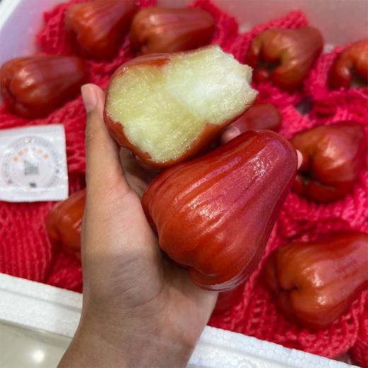 海南黑金刚莲雾 海南空运 好好吃的莲雾 商品图13