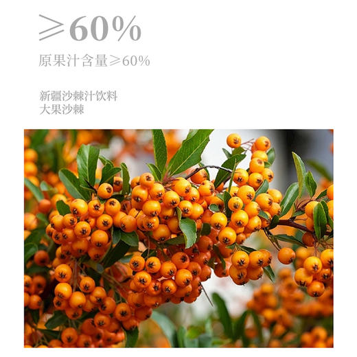 【助农】新疆林之叶沙棘汁320ml*20瓶 商品图1