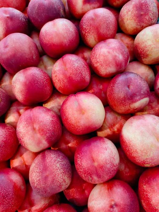 精品红珊瑚油桃2斤 商品图1