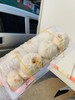 桐庐梅干菜小肉包20个装 巨好吃，微微辣。 商品缩略图2