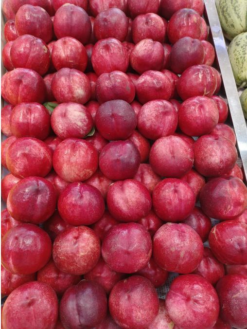 精品红珊瑚油桃2斤 商品图0