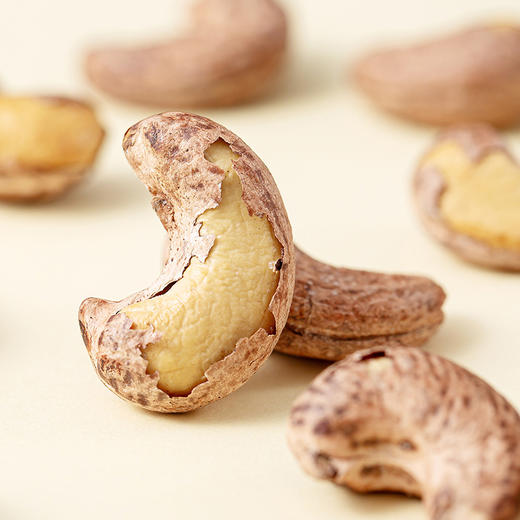 咪go鹦鹉 坚果乐园 600g 商品图1