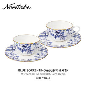 Noritake则武 BLUE SORRENTINO蓝色伊甸园骨瓷咖啡杯子轻奢欧式田BLUESORRENTINO咖啡杯碟对杯则武2杯2碟套装蓝色