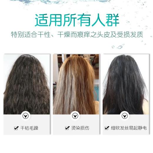  体·研究所everyBODY LABO  广藿香修护护发乳500ml 商品图1