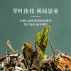 无墨记布朗有机白茶--云南白茶200g 商品缩略图3