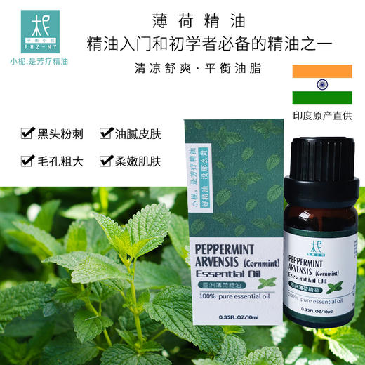 印度【 亚洲薄荷】精油 单方纯精油 清凉舒爽 闻嗅/扩香/调油 商品图2